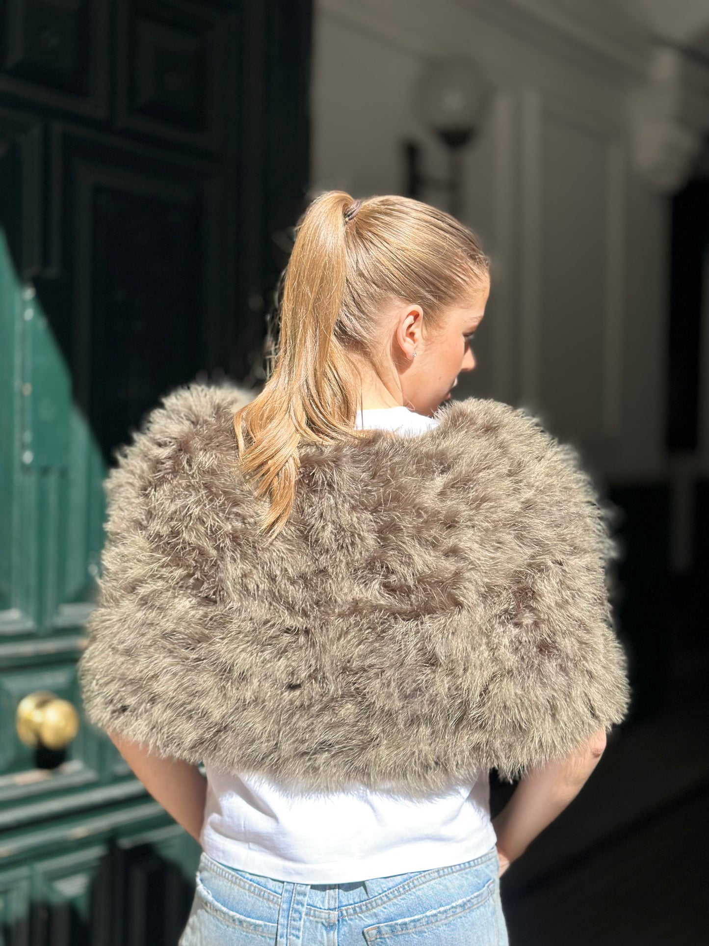 Estola libélula marrón ||