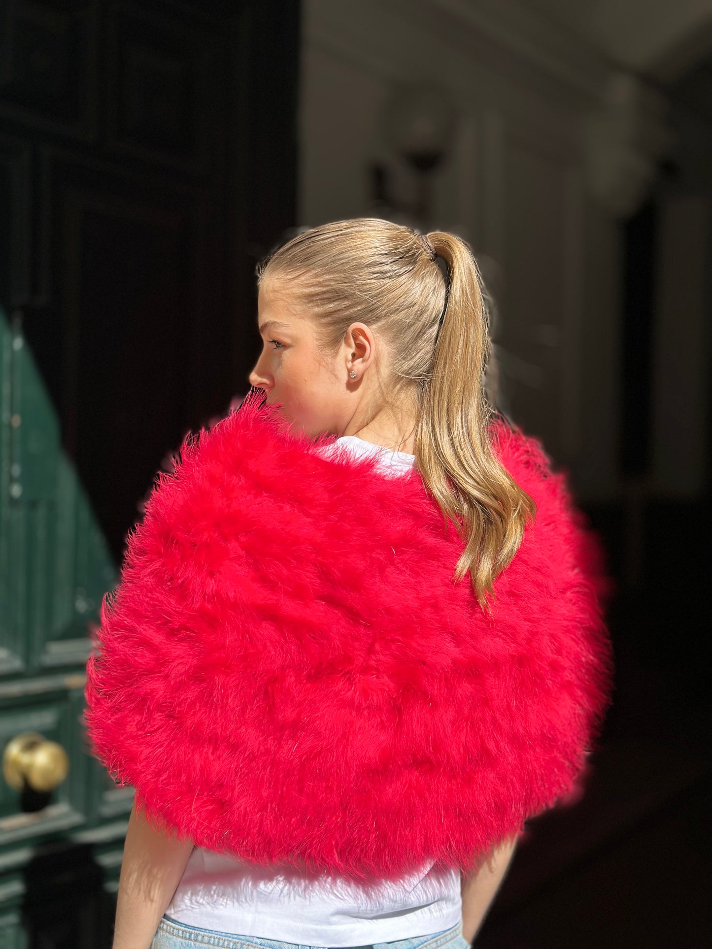 Estola libélula rojo