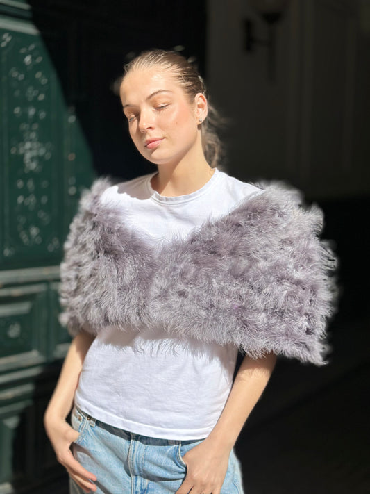 Estola libélula gris |||