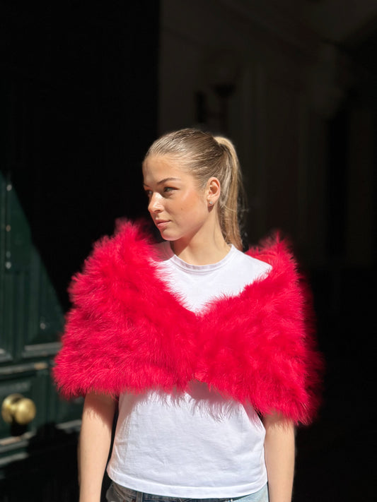 Estola libélula rojo