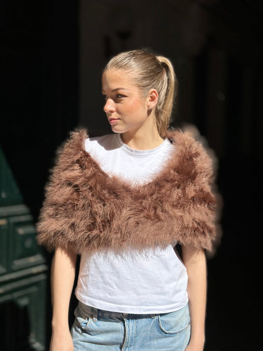 Estola libélula marrón