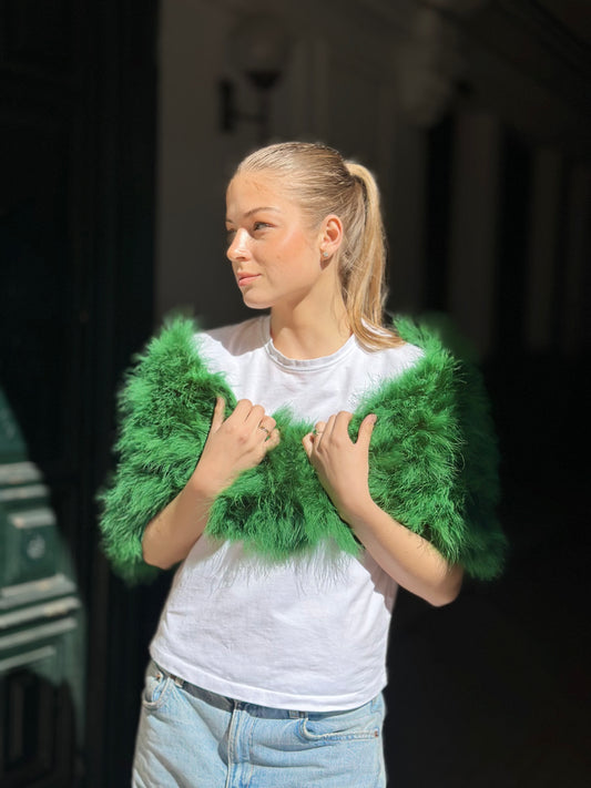 Estola libélula verde